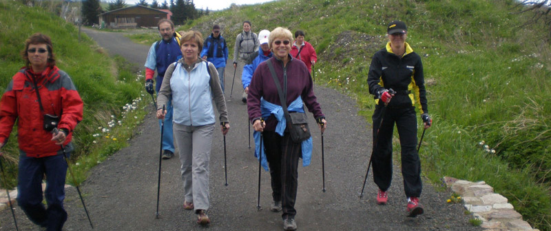 Палки для скандинавской ходьбы vs лыжные палки